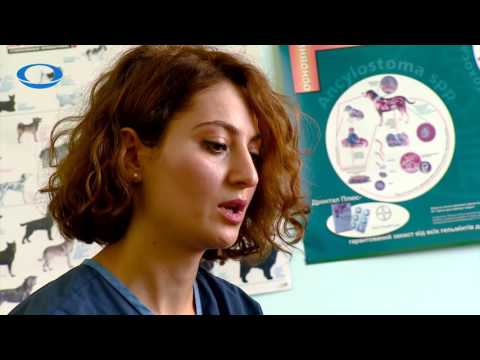 რჩევები ვაქცინაციაზე