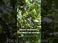 Заповеди, данные Господом Иисусом Христом 16