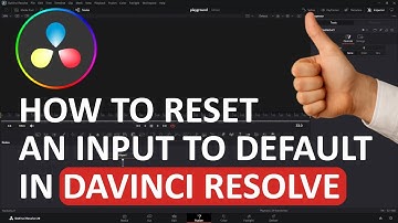 3 ways to reset an input to default in Davinci Resolve