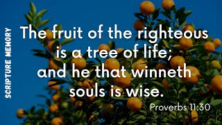 Proverbs 11:30 "The Fruit of the Righteous" Scripture Memory Song
