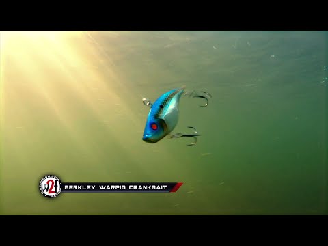 Berkley Warpig Crankbait Underwater Video 