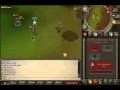 Runescape  statiusd clawsdivinedfs pking 1 1pack