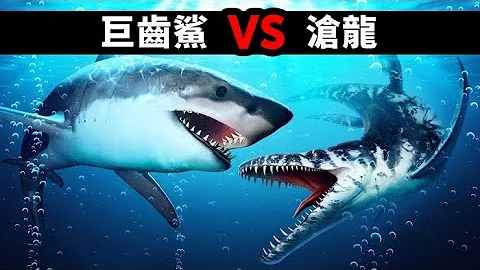 要是巨齿鲨遇到巨型海中恐龙沧龙... - 天天要闻