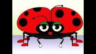 Frank Leto's Ladybug Ladybug Song