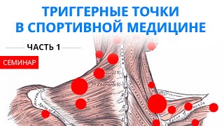 Триггерные точки в спортивной медицине и не только (Семинар от 12.05.2018 - ЧАСТЬ 1)