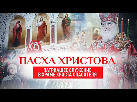 Video: Пасха жумурткасы: үй жаныбарынын досубу же кастыкпы?