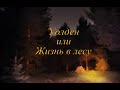 «Уолден или жизнь в лесу» Генри Дэвид Аудиокнига