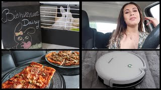 VLOG : UNE JOURNÉE AVEC MOI, NOUVEL ANIMAL DE COMPAGNIE, RECETTE PIZZA