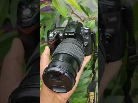 Video: Kas Nikon d90 on DX või FX kere?