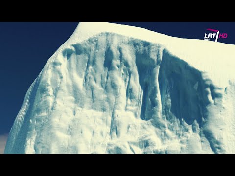 Video: Šį Didžiulį Riešutmedžio Susibūrimą Aliaskoje Sukėlė Visuotinis Atšilimas