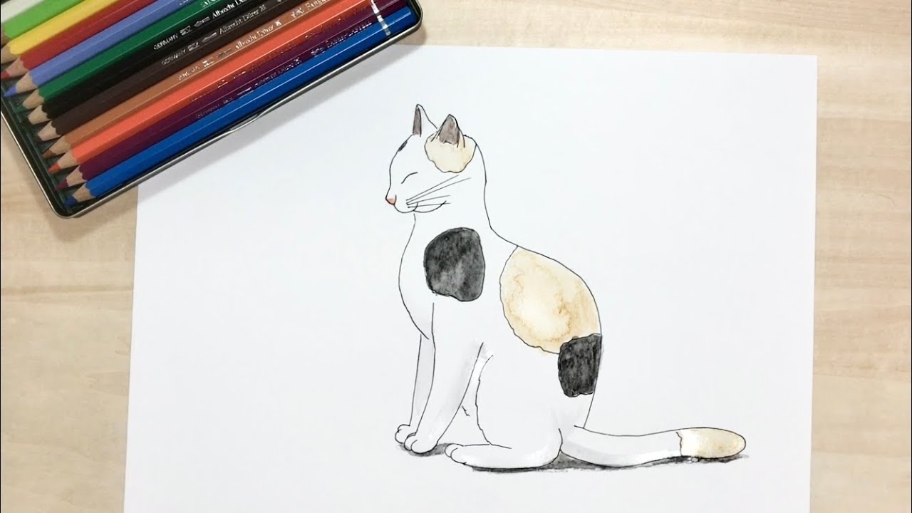 猫の簡単な手描きイラストの描き方 水彩色鉛筆とペン アートと日常