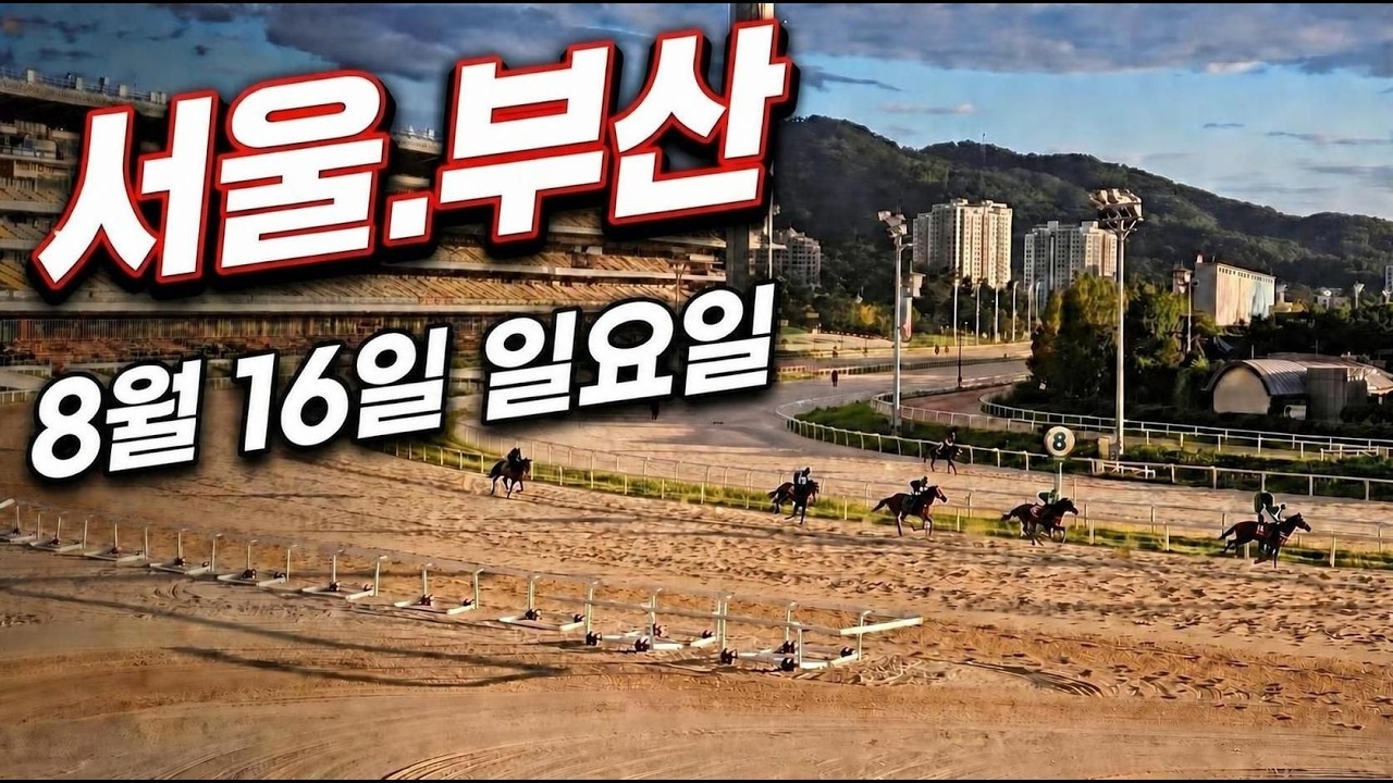 [ 2026년 8월 16일 일요(서울.부산)경마~!]