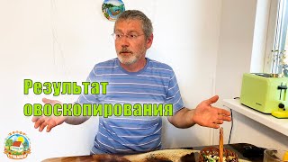 #178 Овоскоп своими руками, результат овоскопирования. Посадили клубнику /Переезд на юг