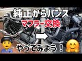 【カスタム】フォーティーエイトの純正マフラーからバンス&ハインズのショートショットに交換❗️（XL1200X）