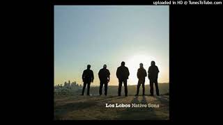 Los Lobos - The World Is A Ghetto