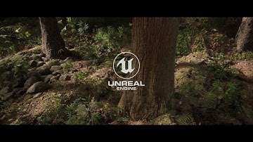 Lighting Lookdev - Afternoon Forest Trail