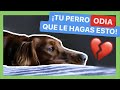 10 COSAS que TU PERRO ODIA DE TI ❌ y QUIZÁ AÚN NO LO SABES 🤔