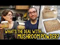 What’s The Deal With Mushroom Powder? How To Make Your Own, How To Use It, Benefits + More!
