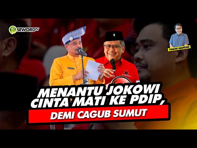 Alifurrahman: MENANTU JOKOWI CINTA MATI KE PDIP, DEMI CAGUB SUMUT class=