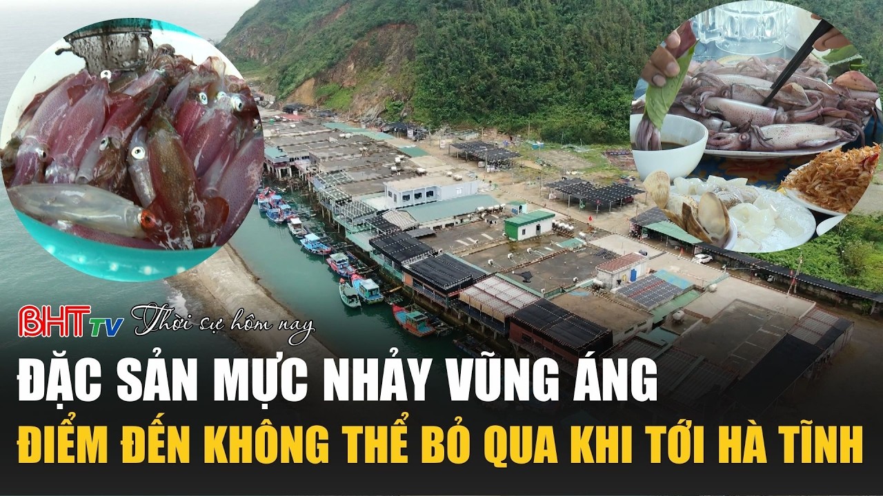 Thời sự tối ngày 9/3: Đặc sản mực nhảy Vũng Áng: Điểm đến không thể bỏ qua khi tới Hà Tĩnh