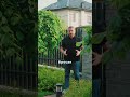 Грамотный дизайн облегчает уход и сохраняет декоративность круглый год #ландшафт