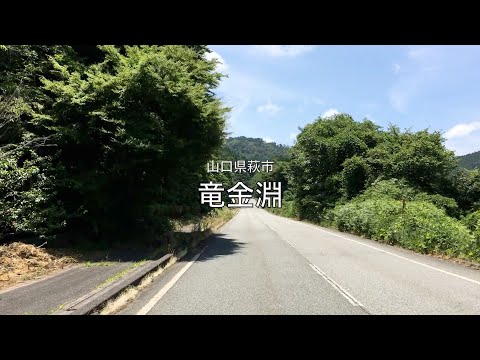 【山口県・萩市】竜金淵 2025.07 approach
