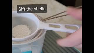 Celebrity DIY Cascarilla Powder (Eggshell Powder) Net Worth