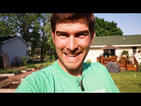 Video: Jak se zbavit plíživé Charlie Weed