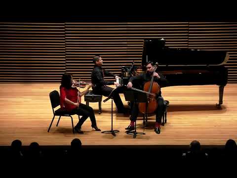 Trio in D Major, Op. 70, No. 1, "Ghost": I. Allegro vivace e con brio