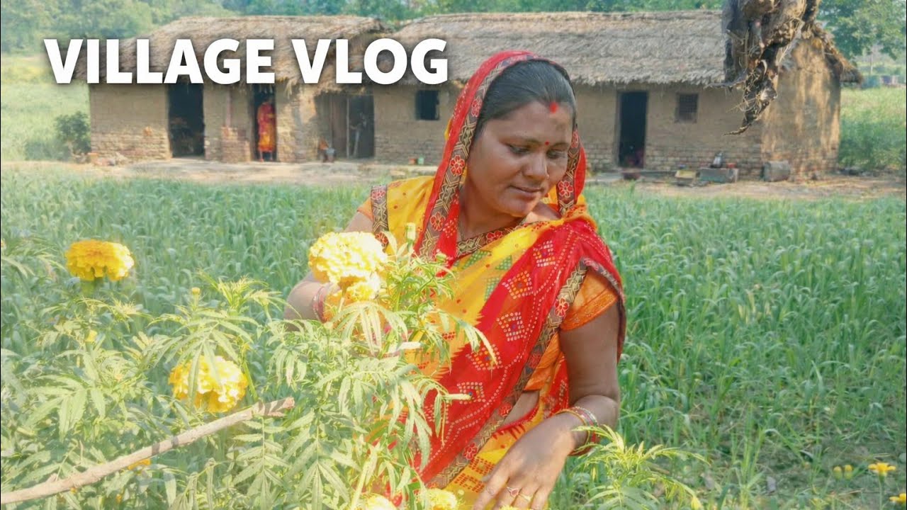 🙏 सुबह की पूजा और मंदिर दर्शन | Morning Temple Vlogआज #rekharanivlog555