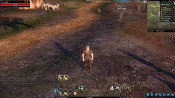 How To Show Party On Minimap In Riders of Icarus