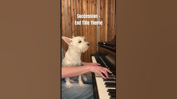 Thumbnail of Succession-End Title Theme 📺 #succession #nicholasbritell #hbomax #soundtrack #piano #dogs