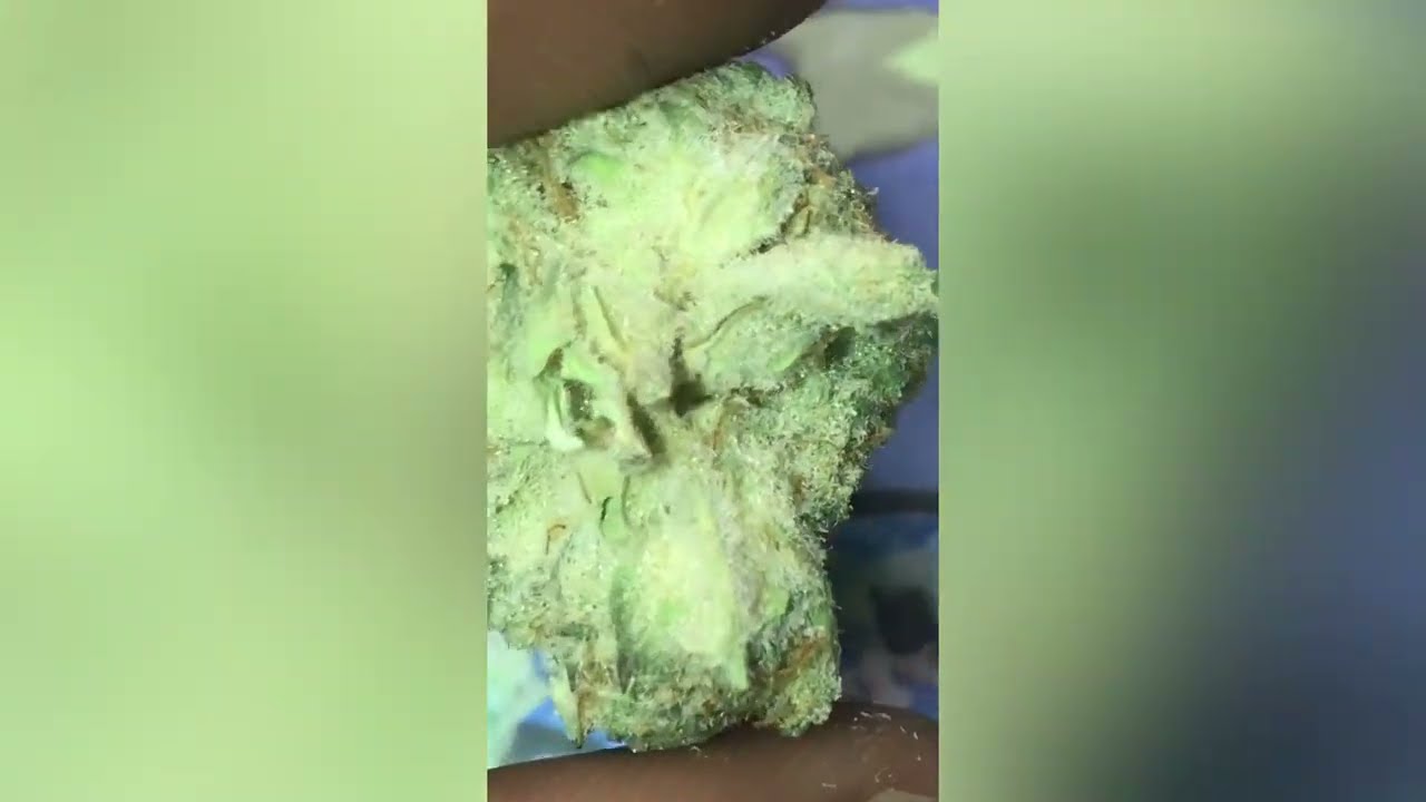 Sugar shack Strain Review ( Smk Brk 420 )