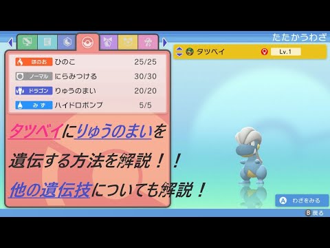 ポケモン ダイパリメイク タツベイにりゅうのまいを遺伝する方法を解説 ハイドロポンプやドラゴンダイブについても 覚えさせ方 ポケモンbdsp Youtube