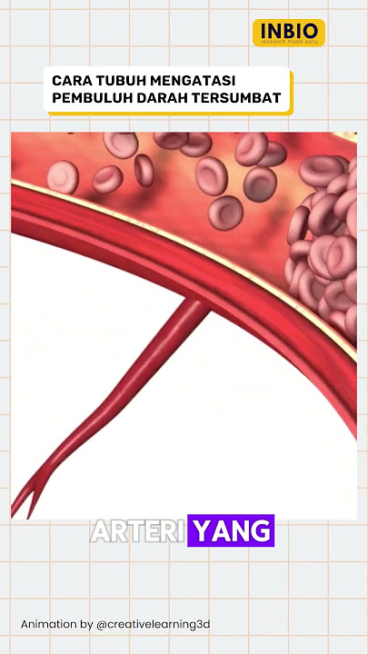How the body deals with blocked blood vessels