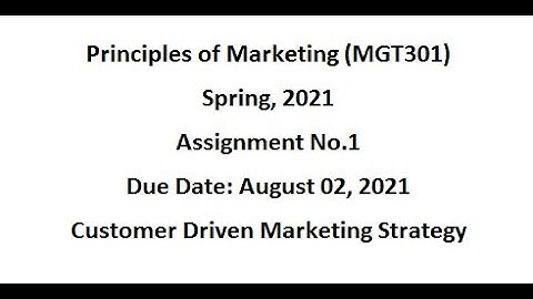 MGT301 Principles of Marketing Assignment No 1 Spring 2021 100 correct