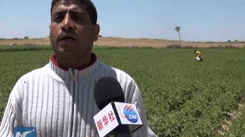 Gaza farmers suffer from Israeli buffer zone