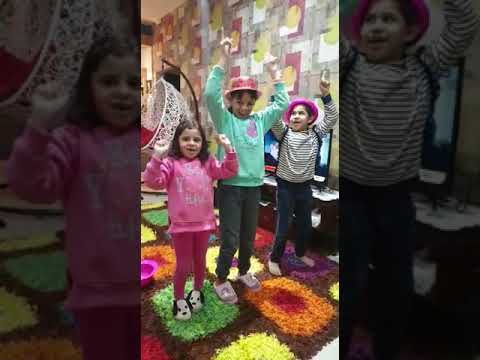 الفار السندق