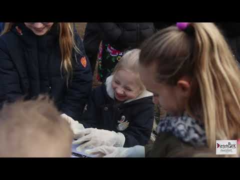 Video: De Grootte Van De Voerbak Is Belangrijk - Dagelijkse Dierenarts