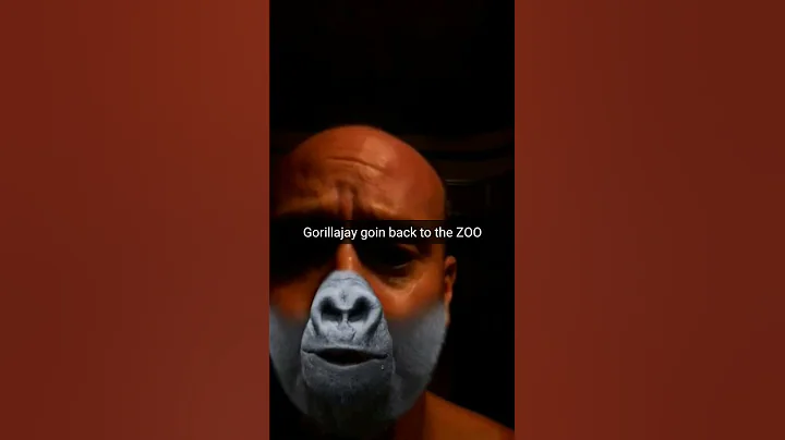 Why the Zoo?