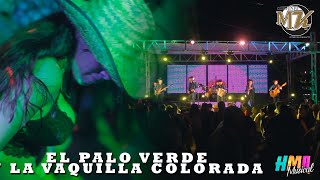 El Palo Verde y La Vaquilla Colorada (En Vivo) - Conjunto MK || Popurrí de Huapangos