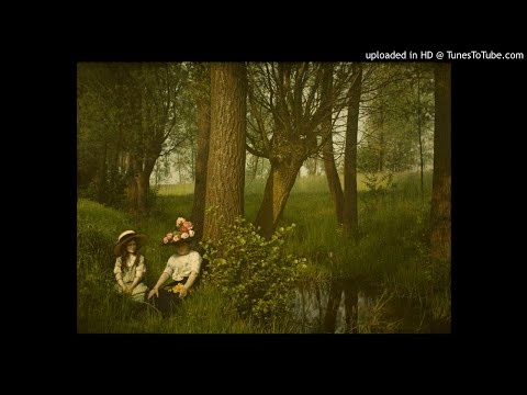 YouTube पर Max Kuttner mit Orchester - Willst du (Franz Lehár) - 1927 देखें