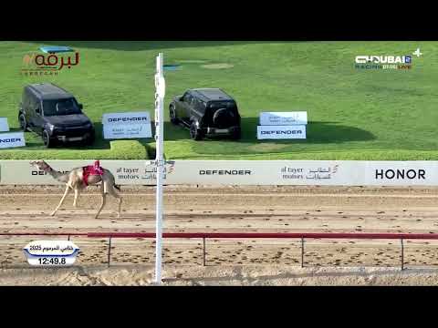 ملخص أشواط الثنايا لأصحاب السمو الشيوخ مهرجان ختامي المرموم التراثي صباح 24 04 2025 ملخص أشواط الثنايا لأصحاب السمو الشيوخ مهرجان ختامي المرموم التراثي صباح 24 04 2025