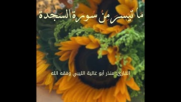 ما تيسر من  سورة السجدة  بصوت  القارئ منذر أبو غالية  وفقه الله