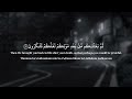 When Allah Sent Mercy After Punishment Surah Al Baqarah 54 57 