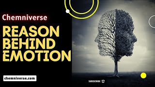 Reason Behind Emotion I Explained in a minute I Chemniverse