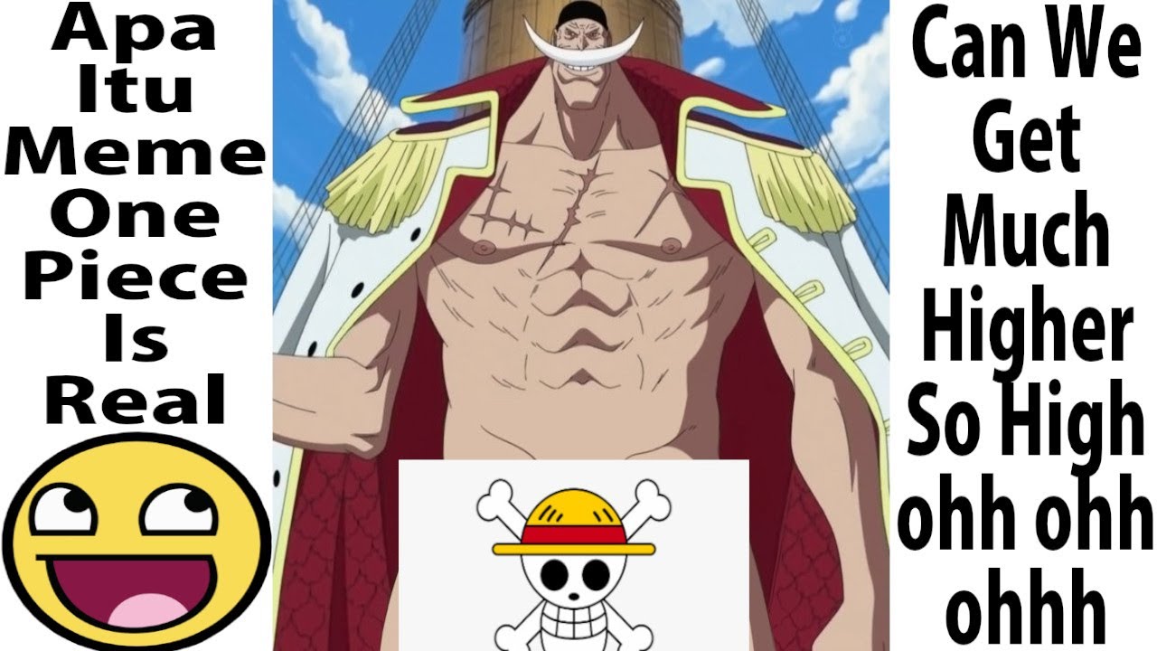 Meme The One Piece Is Real