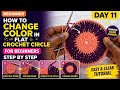 Day 11 How to Change Color in a Flat Crochet Circle |Seamless Color Transition Tutorial with pattern