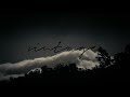 VINTAGE DRUM KIT + ONE SHOT KIT (untiljapan + destroy lonely + experimental ambient + nine vicious)