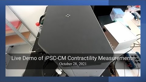 iPSC-derived Cardiomyocyte Contractility Acquisition and Analysis